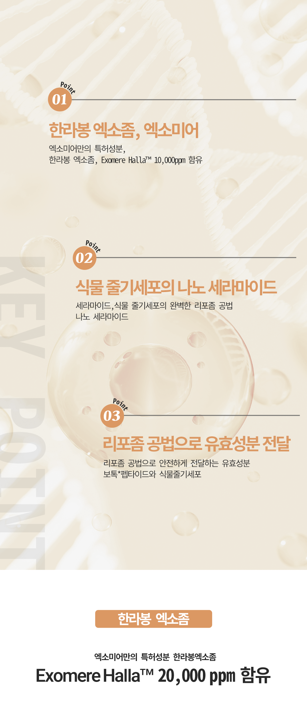 상세2.png